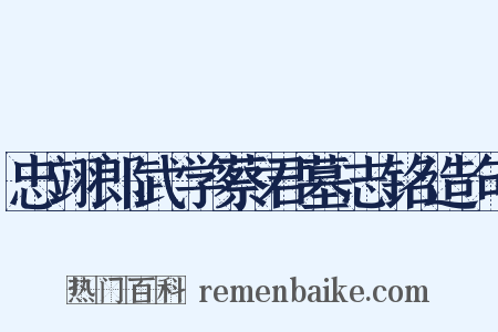 忠翊郎武学蔡君墓志铭造句是什么意思的图片